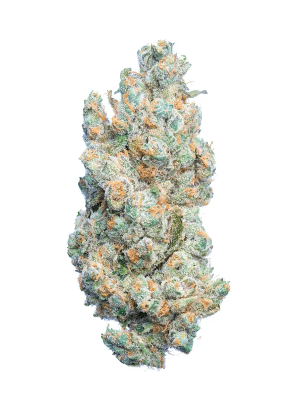 Jet Fuel Strain